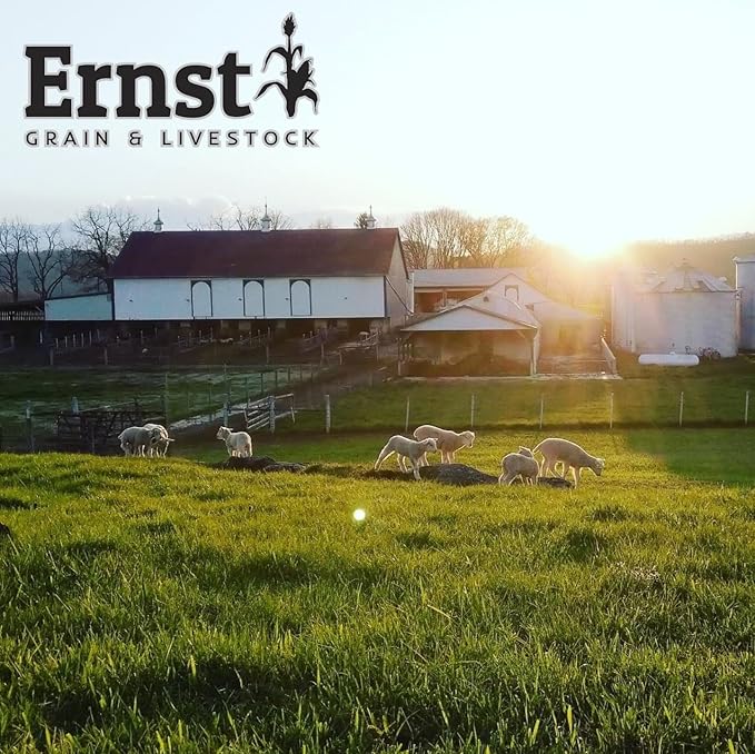 Ernst Grain & Livestock Bird and Wildlife Feed – Perfect for Birds, Ducks, Squirrels, Turkeys, Rabbits, Geese, and Deer – Non-GMO Wild Animal & Bird Feed for Outside Feeders - 10lbs-PawvioPets