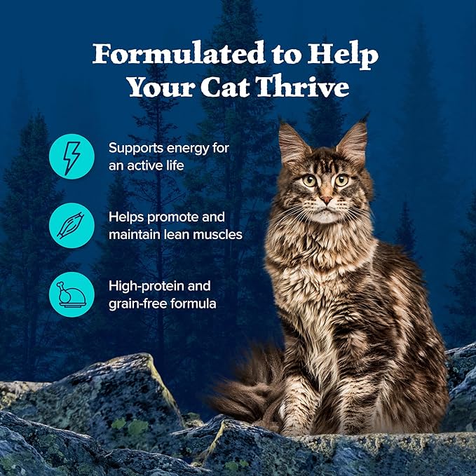 Blue Buffalo Wilderness Wild Delights Meaty Morsels Wet Cat Food, High-Protein & Grain-Free, Made with Natural Ingredients, Chicken & Trout Recipe in Tasty Gravy, 3-oz. Cans (24 Count)-PawvioPets