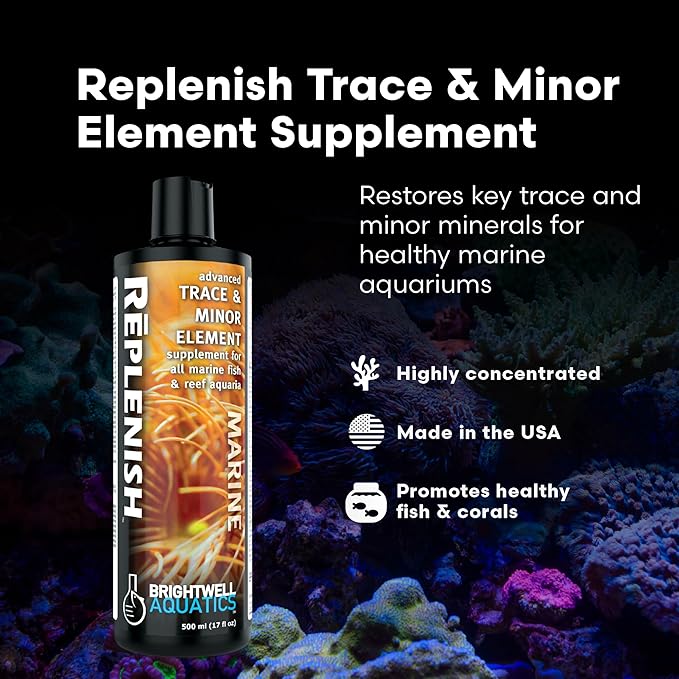 Brightwell Aquatics Rēplenish – Premium Trace & Minor Element Supplement for Marine Aquariums, Supports Healthy Fish, Corals, and Invertebrates, 250 ml-PawvioPets