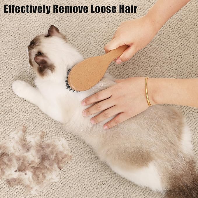 Boar Bristle Cat Brush with Wooden Handle, Soft and Gentle, Reduce Shedding, Make Coat Soft, Smooth and Shinny, Daily Grooming Tool for Short Haired Cats, Kitten-PawvioPets