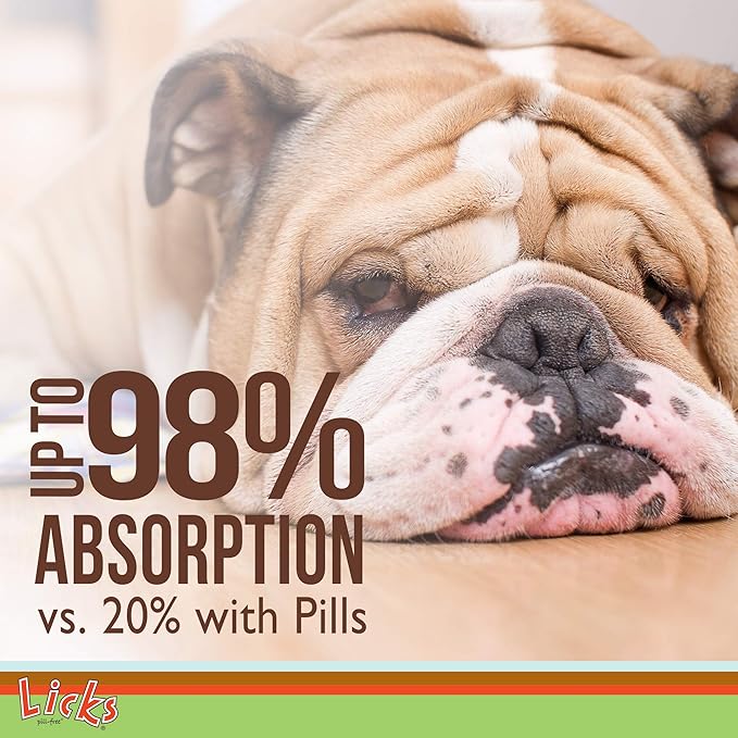 Dog Digestion - Dog Gut Health and Gas Relief - Bloating Relief and Digestion Supplement for Dogs - Dog Health Supplies - Gel Packets - 30 Use-PawvioPets