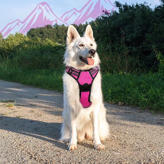Eagloo Dog Harness Large Breed, No Pull Service Vest with Reflective Strips and Control Handle, Adjustable and Comfortable for Easy Walking, No Choke Pet Harness with 2 Metal Rings, Rose Red, XL-PawvioPets