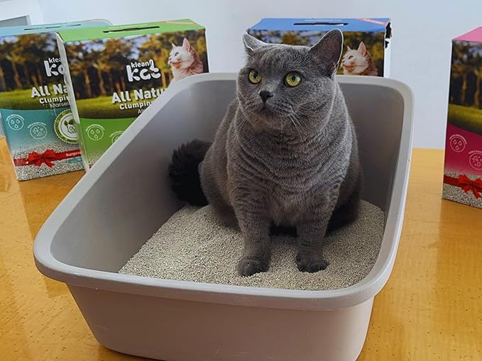 All Natural Clumping Cat Litter – Multiple Scents – Low Dust, Odor Control – Unscented 18 lb - Surprise Toy Inside-PawvioPets