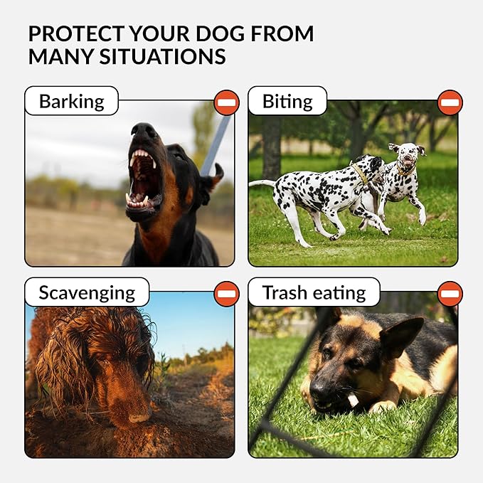 CollarDirect Dog Muzzle German Shepherd Dalmatian Doberman Setter Leather Basket Medium Large Breeds (Grey, Medium)-PawvioPets