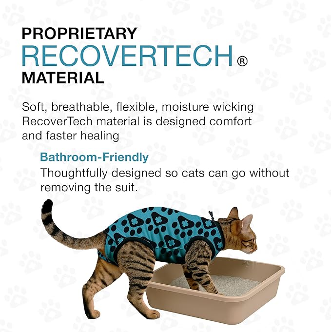 Bellyguard Cat Recovery Suit Female and Male, Comfy Onesie After Surgery, Kitten Clothes for Post-Op Care, Neuter and Spay Healing Outfits for Cats Only – Comfortable Kitten and Adult Cone Alternative-PawvioPets
