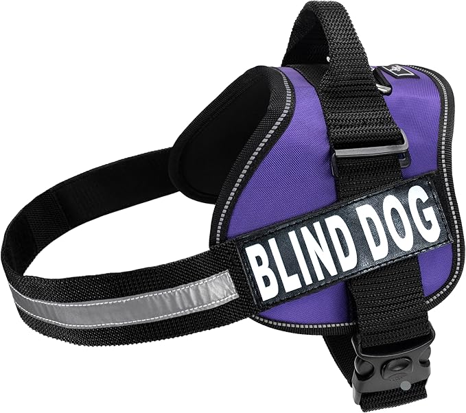 Doggie Stylz Blind Dog Harness No Pull No Escape Dog Vest for Blind Dogs Adjustable Vest with Handle Blind Dog Accessories and Patches for Training and Mobility-PawvioPets