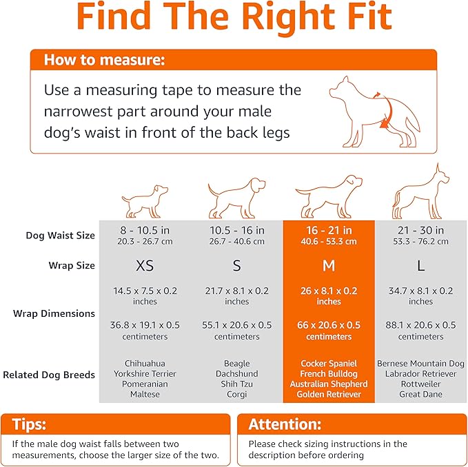 Amazon Basics Male Dog Diapers, 50 Count, Medium, Ultra Absorbent Disposable Wrap with Secure Fit, Leakproof and Comfortable-PawvioPets