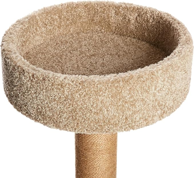 Amazon Basics Cat Tree - Indoor Cat & Kittens Multi-Level Climbing Activity Tower with Scratching Posts, Medium (31.5"H) - Beige-PawvioPets