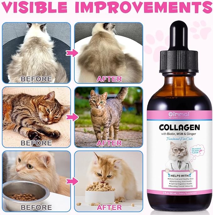 Collagen for Cats, Daily Liquid Collagen Drops for Cats with Allergies, Biotin, Vitamin C and Hyaluronic Acid, Improves Mobility Skin and Coat Health, Itch Relief for Cat, Salmon Flavor, 60ML-PawvioPets