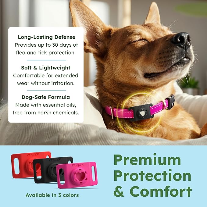 BugMD Paw Guardian Flea and Tick Prevention Pendant for Dogs with AirTag Holder | Plant-Powered Flea & Tick Control for Dog Collars Harnesses | Dog Tag with Air Tag Holder - Black-PawvioPets