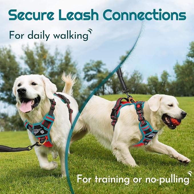 Eagloo Dog Harness Small Sized, Easy Wearing with 3 Buckles, Adjustable No Pull Pet Harness with 2 Rings for Walking, No Chock Reflective Soft Padded Vest with Control Handle, Red & Teal, S-PawvioPets