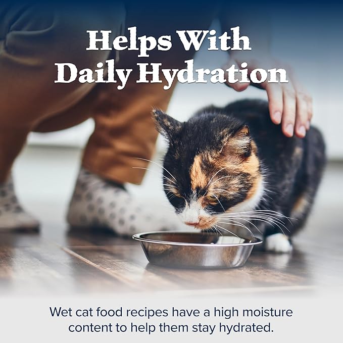 Blue Buffalo Wilderness Rocky Mountain Recipe Natural High Protein Wet Food for Adult Cats, Trout in Tasty Gravy, 5.5-oz cans, Pack of 24-PawvioPets