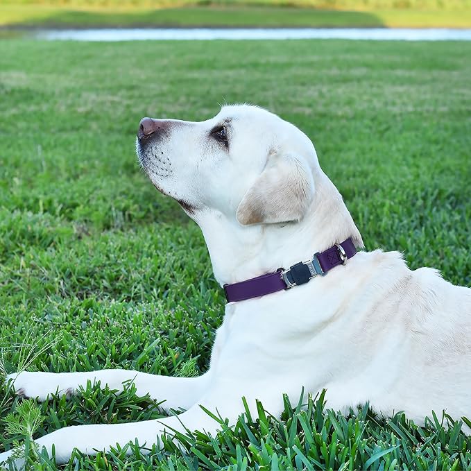 Dogline Biothane Waterproof Dog Collar with Herm Sprenger Stainless Steel Quick Release Buckle – Heavy Duty Tactical Durable Collar for Dogs – Comfortable and Safe Pet Collar, W 1" L 15-25", Purple-PawvioPets