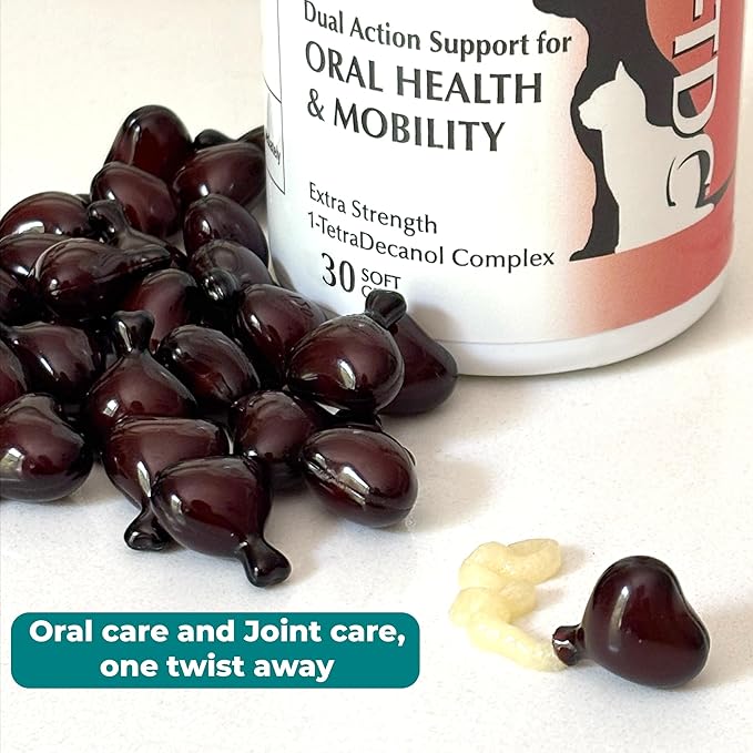 1TDC WorksSoWell Dual Action Joint Supplement for Dogs & Cats - Hip and Joint Supplement for Large Breed & Small Breed - Also Great for Oral Health - Muscle & Stamina Recovery & Arthritis - 30ct-PawvioPets