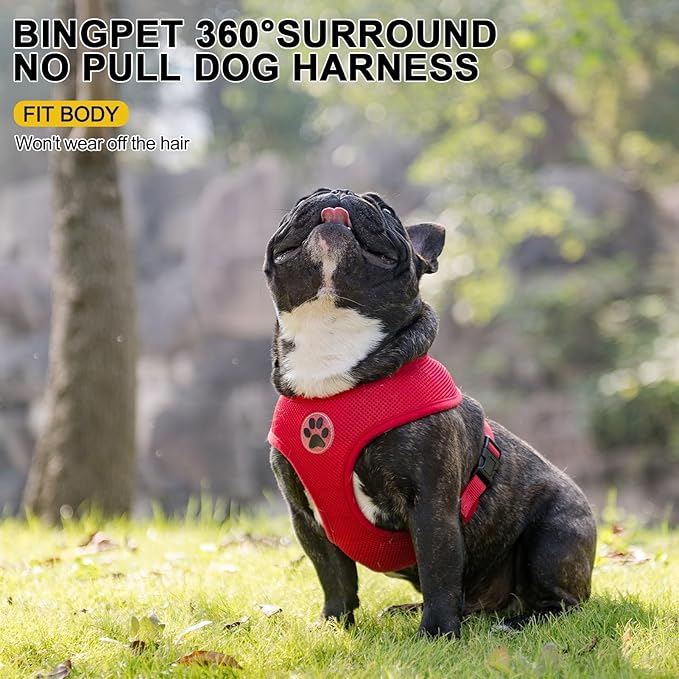 BINGPET No Pull Dog Harness for Small Medium Dogs,All Weather Mesh Step in Vest Harness for Small Dogs,Breathable Mesh Puppy Cat Harnesses,Step-in Air Dog Harness for for Small Dogs,Red,Medium-PawvioPets