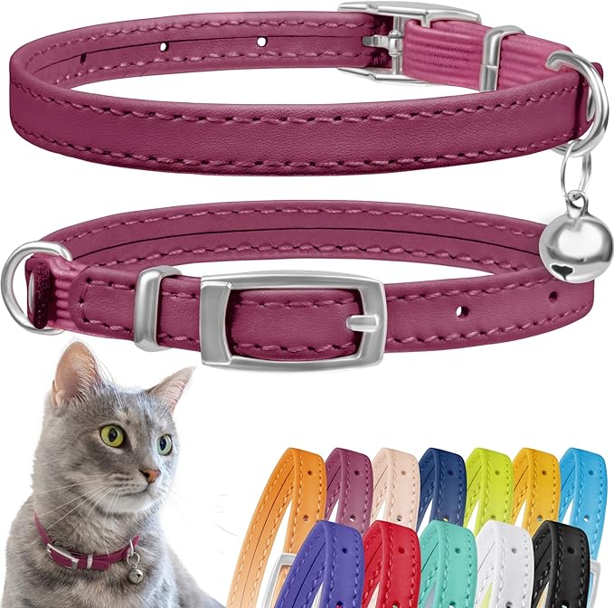 CollarDirect Leather Cat Collar with Bell - Kitten Collar, Small and Big Cat Strap for Boy Cats, Girl Cats with Safety Elastic Strap (Neck Fit 6"-7", Pink)-PawvioPets