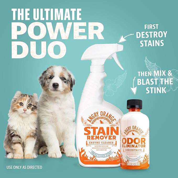 Angry Orange Pet Odor Eliminator Concentrate for Cat Urine and Smells - Fresh Scent - 8 oz (Makes 128 oz of Cleaner)-PawvioPets