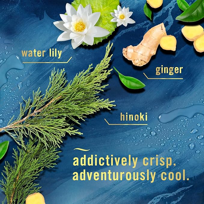 Febreze Bathroom Air Freshener, Odor-Fighting, Plug In Alternative, Air Fresheners for Home and Bathroom and Kitchen, Closet Air Fresheners, Ocean Scent, 4 Count-PawvioPets