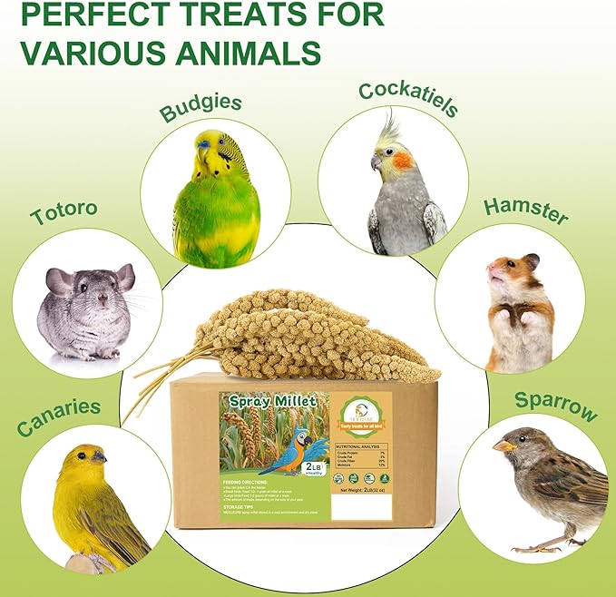 2LB Spray Millet Bird Treat for Parakeets, Natural Sun-Dried Birds Millet Spray for Parrots, Finches, Cockatiel, Budgie & Hamster, Bird Food Bulk-PawvioPets