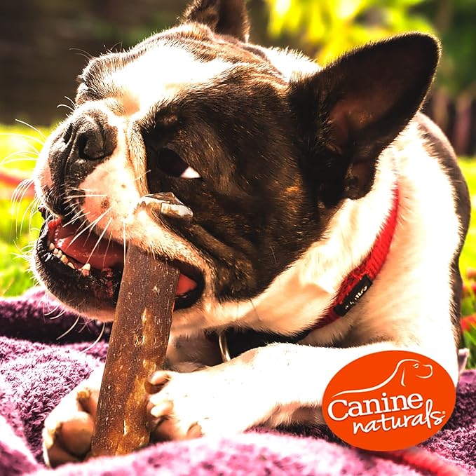 Canine Naturals Peanut Butter Chew - 100% Rawhide Free Dog Treats - Made with Real Peanut Butter - All-Natural and Easily Digestible - 5 Pack of 7 Inch Large Rolls for Dogs 50-75lb-PawvioPets