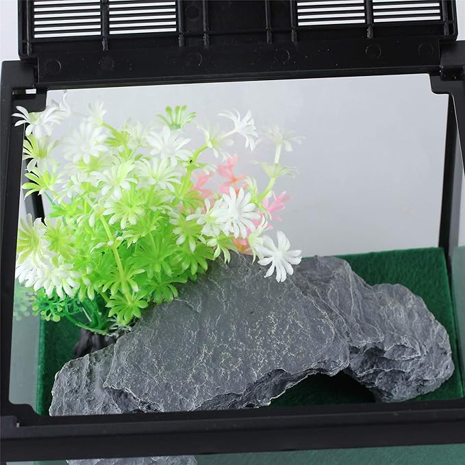 crapelles Glass Lizard Tank, Spider Box Kit, 7.8x7.8x5.9'' Tarantula Feeder Insects Beetle Habitat, Amphibians Terrarium for Small Pet, with Washable Mat, Resin Rock Shape Hideout, Artificial Flower-PawvioPets