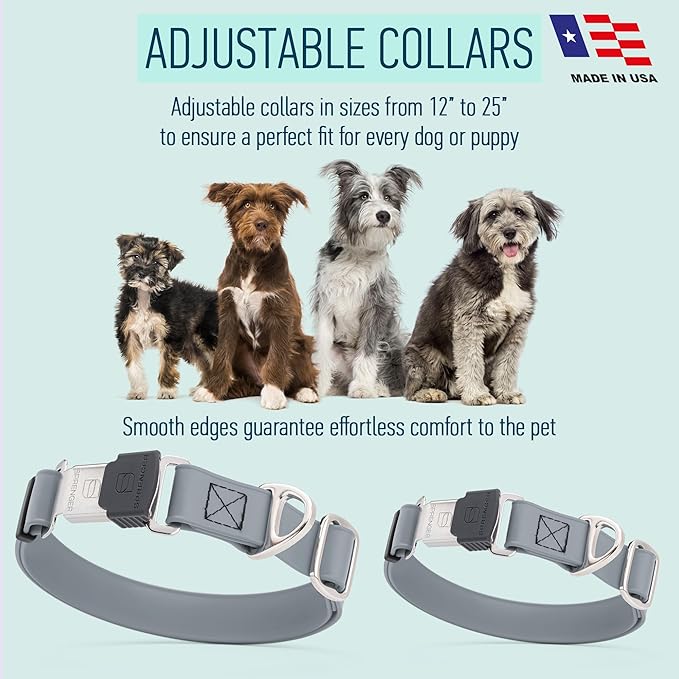 Dogline Biothane Waterproof Dog Collar with Herm Sprenger Black Stainless Steel Quick Release Buckle – Heavy Duty Tactical Durable Collar for Dogs – Comfortable and Safe Pet Collar W 1" L 15-25" Gray-PawvioPets
