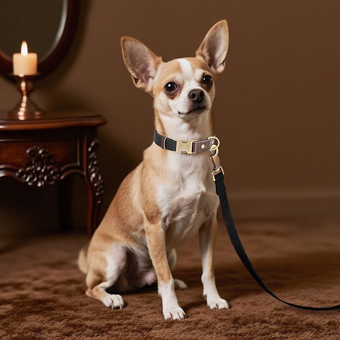 Didog Soft PU Leather Dog Collars for Small Dogs,Classic Adjustable Dog Collars with Quick Release Metal Buckle,Easy Clean and Comfortable with Nylon Lining,Black,S Neck 10-15"-PawvioPets