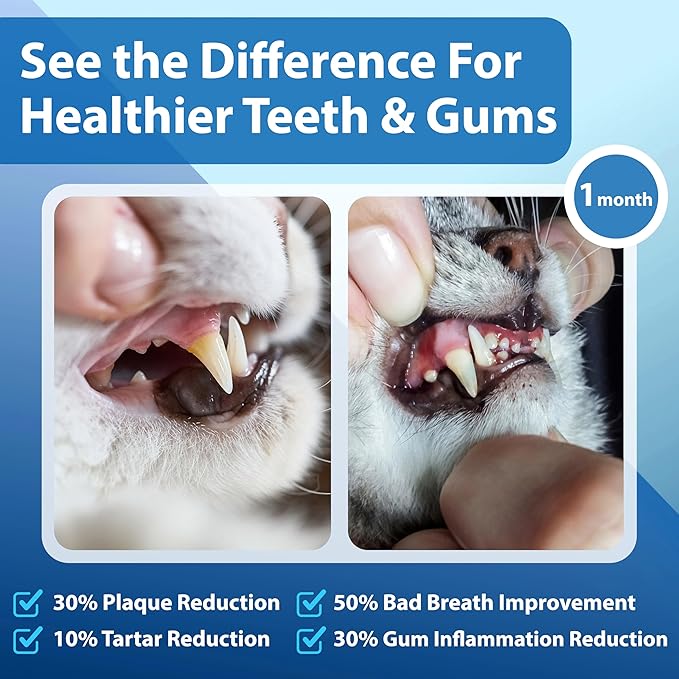 Cat Dental Care Powder Bad Breath Treatment for Cats Teeth, Mouth, Gums & Gut, Plaque Off,Tartar Control, Help Feline Gingivitis and Stomatitis, with Natural Extracts & Probiotics-PawvioPets