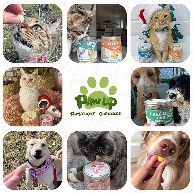 Freeze Dried Cat Treats, Raw Chicken Food for Dogs Cats, Single Ingredient, High Protein Natural Healthy Topper, 3.8 oz-PawvioPets