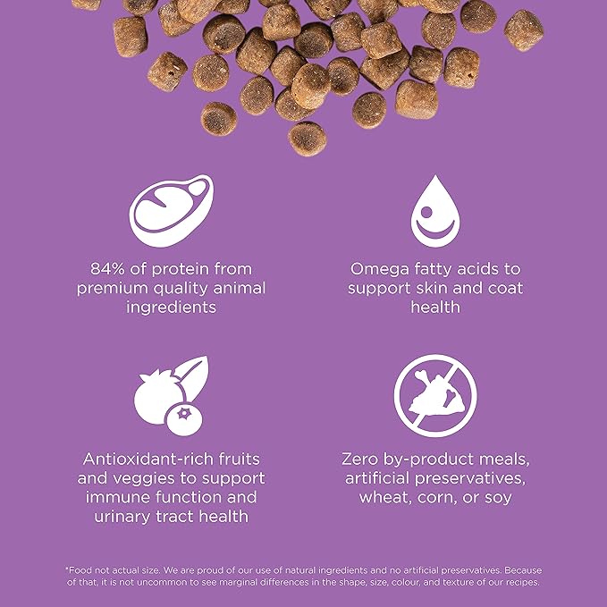 Go! Solutions Carnivore, Grain-Free, Protein Rich Dry Cat Food, Chicken, Turkey and Duck Recipe, 16 lb Bag-PawvioPets