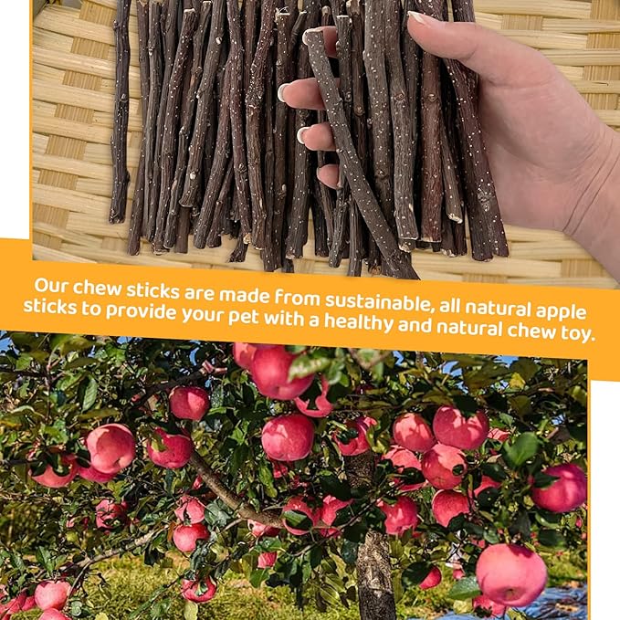 Apple Sticks 300g(0.7LB) Small Animals Wooden Pet Chew Treats Toys for Guinea Pigs Hamsters Rabbits Chinchillas Squirrels Small Animal Molar Wood Treats Toys-PawvioPets