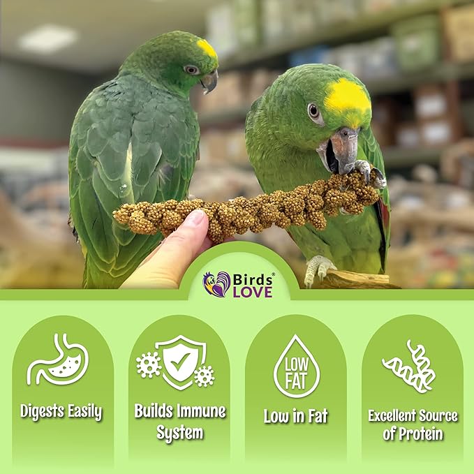 Birds LOVE French Kissed Spray Millet for Birds - Parakeets, Cockatiels, Lovebirds, Finches, Budgies, Canaries, Cockatoos - Natural & Healthy Bird Millet - Parakeet Food & Treats for All Parrots 5lbs-PawvioPets