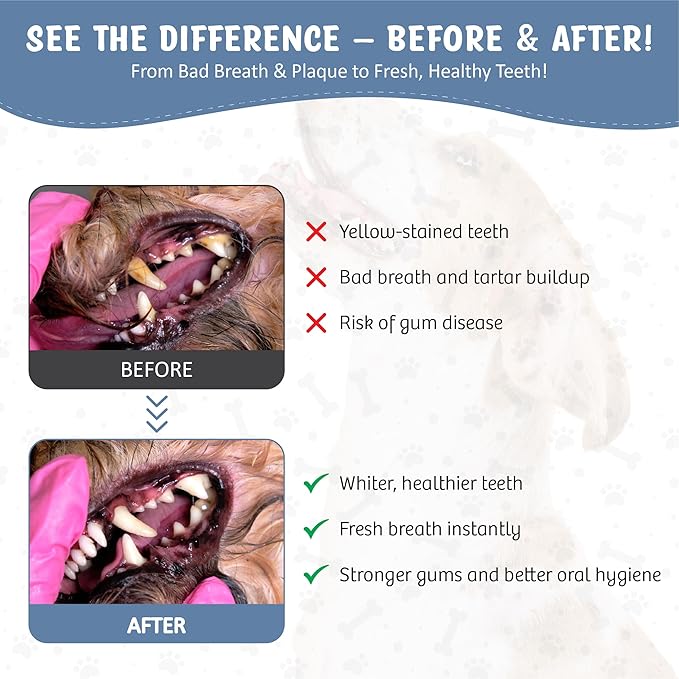 Dog Dental Spray Removes Tartar, Plaque and Freshens Breath Instantly. The Most Advanced Dental Spray for Healthy Teeth, Gums and Oral Health Care for Your Dog, Cat or Pet - 1-8 oz. Bottle-PawvioPets