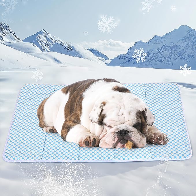 Dog Cooling Mat for Medium Dogs - 30x20 Orthopedic Memory Foam Pet Pad for Summer, QMAX>0.5, Washable Premium Comfort Crate Pad for Your Furry Companion, Blue-PawvioPets