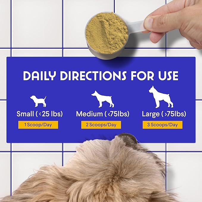 Bone Broth for Dogs – Bone Broth Powder with Organic Mushrooms & Collagen for Digestion, Immunity & Joint Support – Tasty Beef Supplement for Dogs of All Ages, Sizes & Breeds – 3.20 oz-PawvioPets