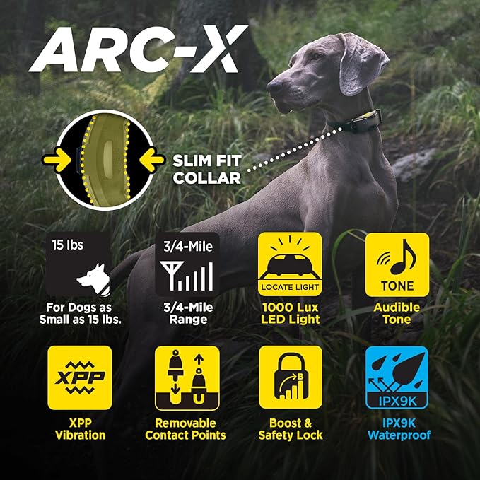 Dogtra ARC-X E-Collar for Dog Training - 3/4 Mile Range, for Dogs 15 lbs+, Slim Design, IPX9K Waterproof, 100 Stimulation Levels, Vibration, Tone, Rechargeable - Dog Owners and Professional Trainers-PawvioPets