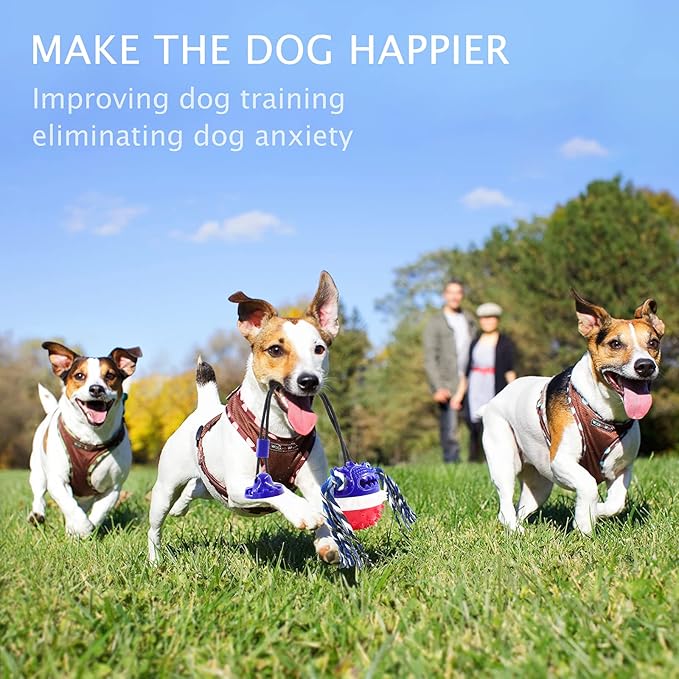 Aggressive Chewer Dog Toys - Rope Toys with Suction Cup, Teething Treats & Puzzle Food Dispensing Ball (Navy Blue)-PawvioPets