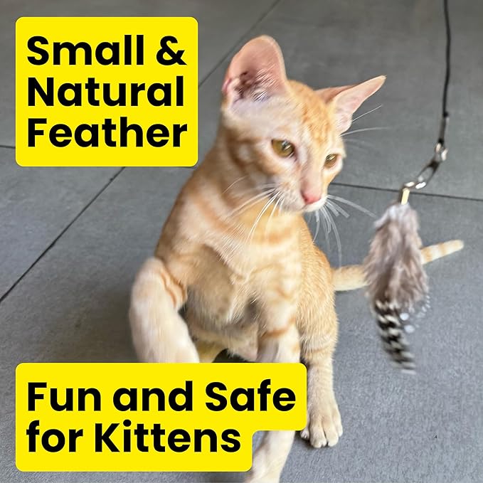 Feather Toys Replacements (3 Pc) - Cat Toys & Kitten Toys for Indoor Kittens, Set of Replacement Feather Attachments Extra Small and Durable, for Cat Wands, Natural and Safe-PawvioPets