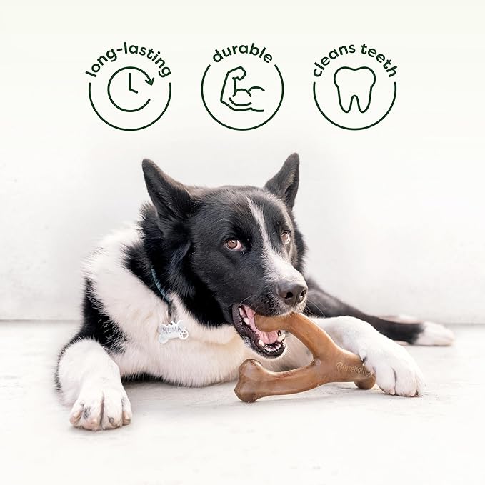 Benebone 2-Pack Bacon Wishbone/Rubber Bone Medium-PawvioPets