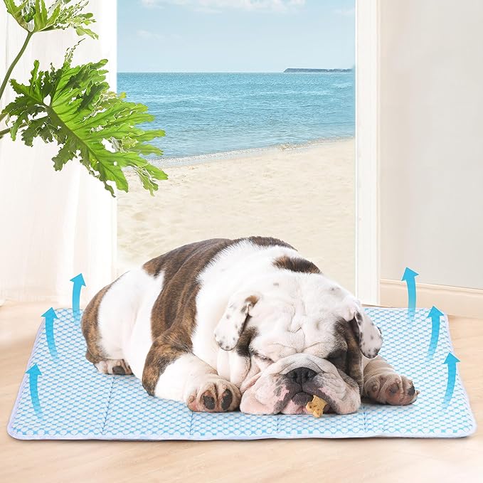 Dog Cooling Mat for Medium Dogs - 30x20 Orthopedic Memory Foam Pet Pad for Summer, QMAX>0.5, Washable Premium Comfort Crate Pad for Your Furry Companion, Blue-PawvioPets