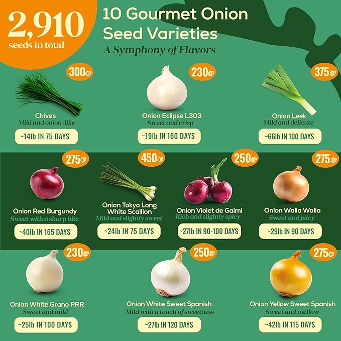 10 Gourmet Onion Seeds for Planting Variety Pack - 2,900+ Non-GMO Heirloom Vegetable Seeds for Growing Indoor & Outdoor: Red Burgundy, Leek, Walla Walla, Grano White & Yellow Sweet Spanish-PawvioPets