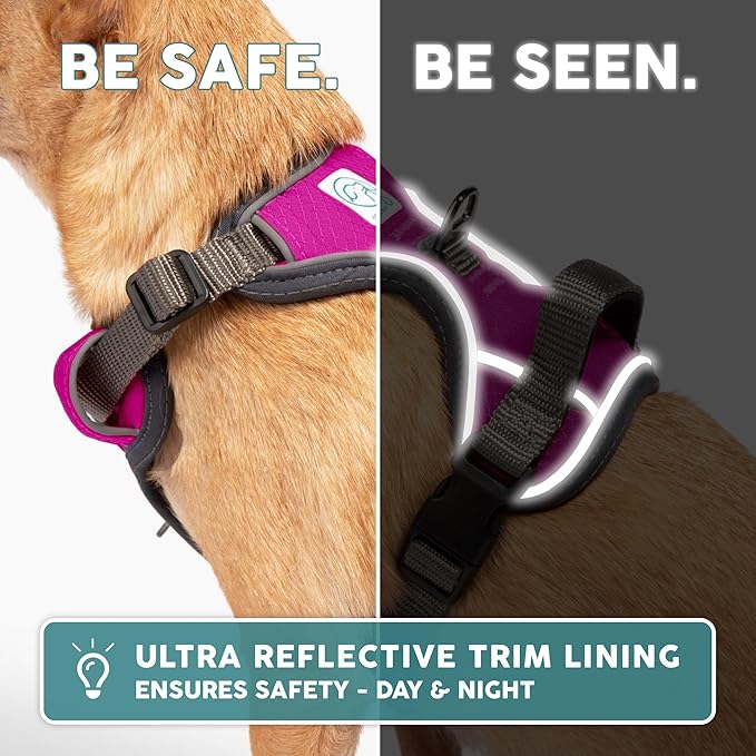 Embark Adventure Dog Harness, Reflective Trim No Pull Dog Harness Medium Sized Dogs - Military Grade Nylon, Front Clip with Gel Lined Handle.-PawvioPets