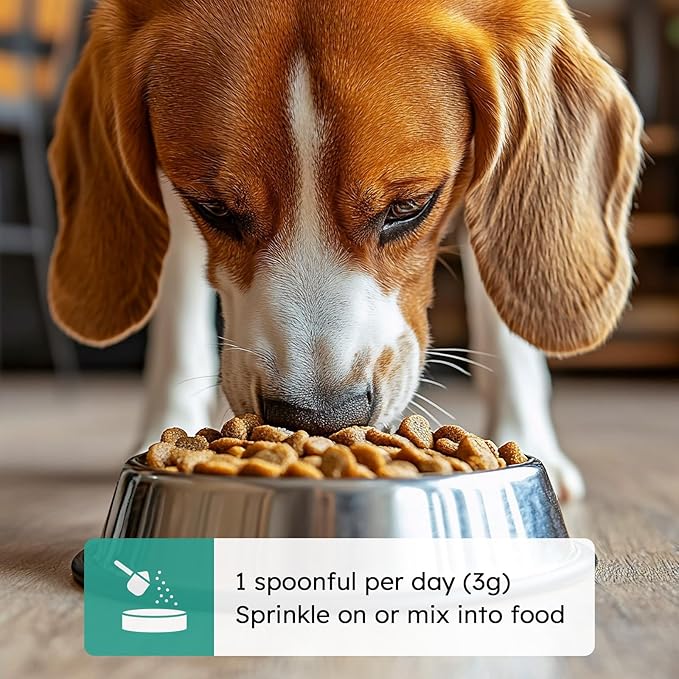 Dog Teeth Cleaning Powder - Dog Breath Freshener + Dental Care for Doggies & Cats + Tartar Remover for Teeth with Natural Ingredients + Probiotics Blend (Mint - 100g)-PawvioPets