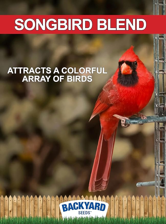 CountryMax Backyard Seeds Songbird Blend Wild Bird Seed – 50 lb Bag – Premium Mix with Sunflower Seeds, Safflower, Peanuts, Millet – Attracts Cardinals, Finches, Chickadees, and More-PawvioPets