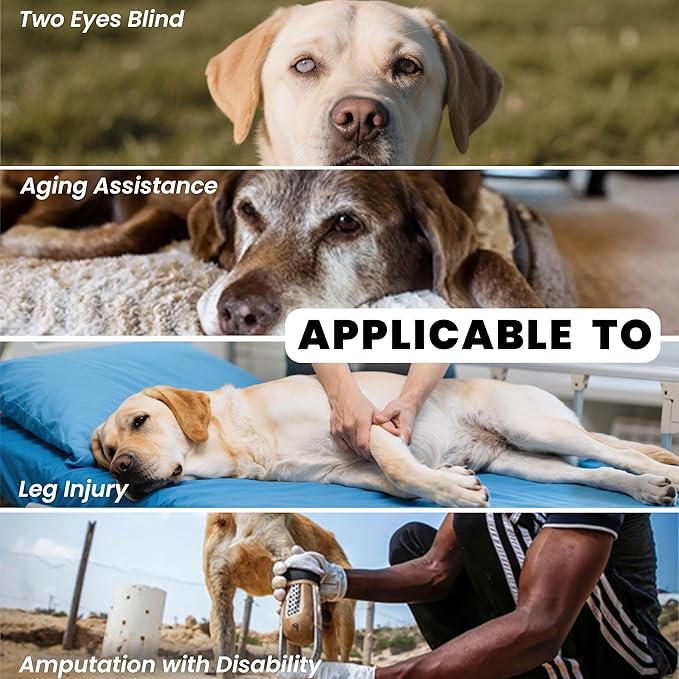 Dog Lift Harness Backpack Carrier for Large Dogs, Full Body Sling with Handle, Dog Harness for Joint Injuries, Arthritis, Ideal for Stairs, Elderly Dogs (Black X-Large 29-50 LBS)-PawvioPets