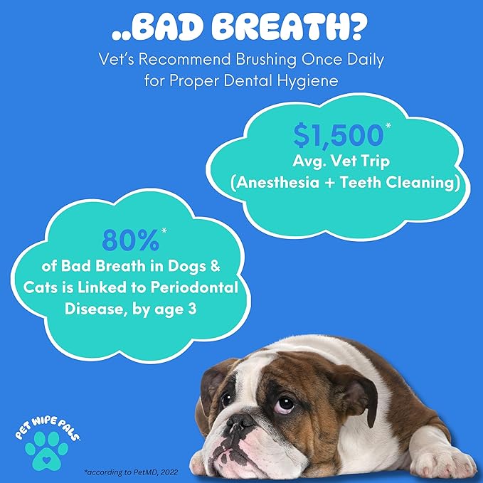 All-in-1 Dog Teeth Cleaning Wipes | Enzymatic Whitening + Premium Scrubbing Beads | No Mess, Pet Dental Wipes & Finger Tooth Brushing Kit | Plant-Based Dental Care for Cats & Dogs (60 Count)-PawvioPets