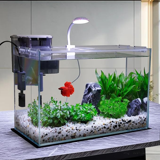 3 Gallon Glass Small Fish Tank, Betta Fish Tank Starter Kit with Filter, Lights,Lid.-PawvioPets