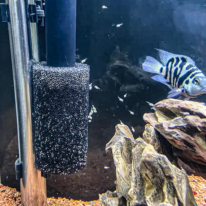 6X Pre-Filter Sponge for Aquarium Shrimp Fry Fish Tank Filter Pump Prefilter Sponge Replacement Foam Cover 3.2 X 1.6 Inch with 0.8" Hole Diameter-PawvioPets