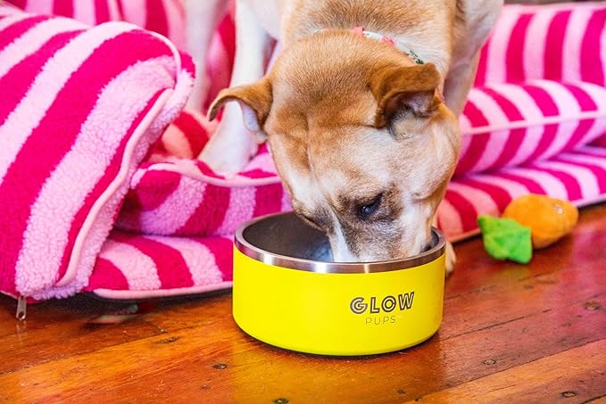 Dog Bowl, Non-Slip Stainless Steel Pet Bowl with Vacuum Insulated Design, Keeps Water Cool, Easy to Clean, Modern Style, 64 oz, Yellow-PawvioPets