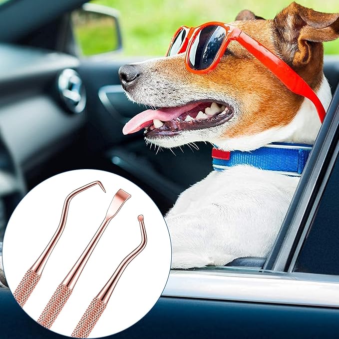 3 Pieces Dog Dental Tooth Scaler and Scraper Stainless Double Headed Tarter Removing Tool Scraper Pet Teeth Cleaning Tools for Dog and Cat (Rose Gold)-PawvioPets